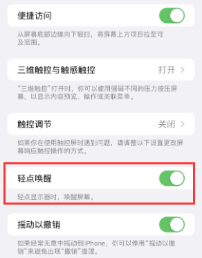 资兴苹果授权维修站分享iPhone轻点无法唤醒怎么办 