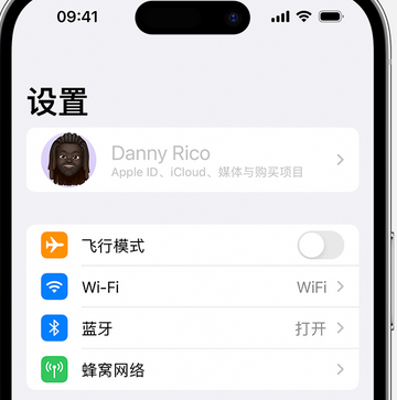 资兴appleID维修服务iPhone设置中Apple ID显示为灰色无法使用 