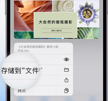 资兴apple维修中心分享iPhone文件应用中存储和找到下载文件