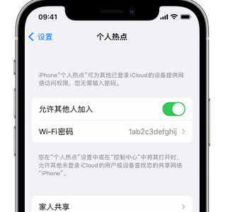 资兴apple服务站点分享iPhone上个人热点丢失了怎么办 