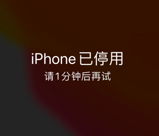 资兴苹果手机维修分享:iPhone 显示“不可用”或“已停用”怎么办？还能保留数据吗？ 