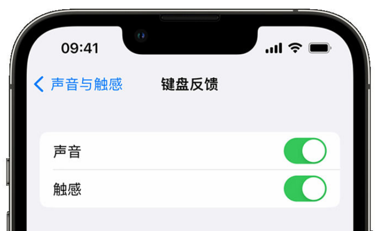 资兴苹果手机维修分享iPhone 14触感键盘使用方法 