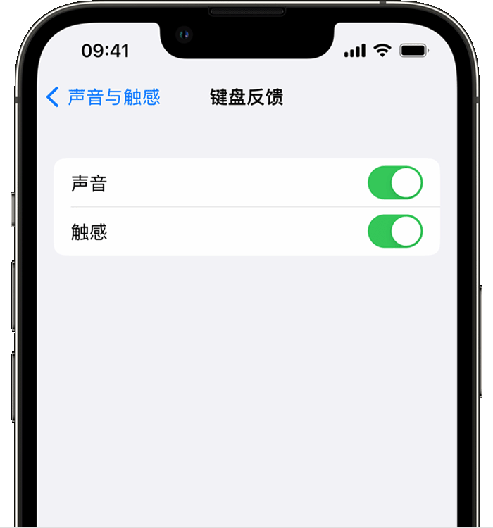 资兴苹果14维修店分享如何在 iPhone 14 机型中使用触感键盘 