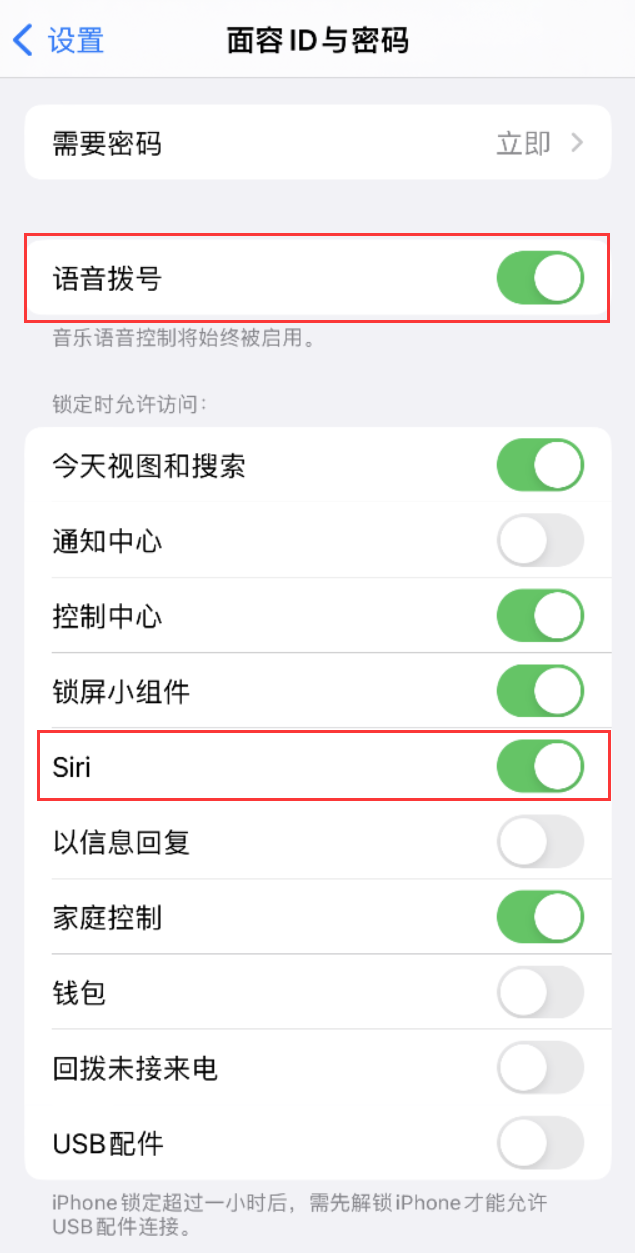 资兴苹果维修网点分享不解锁 iPhone 的情况下通过 Siri 拨打电话的方法 