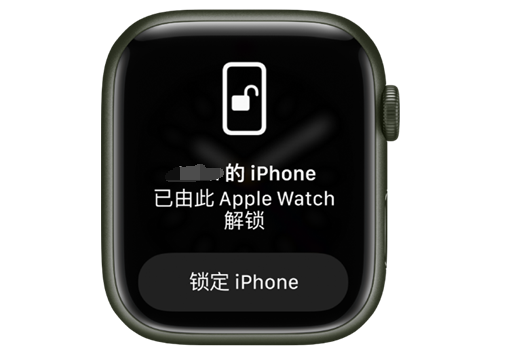 资兴苹果手机维修分享用 AppleWatch 解锁配备面容 ID 的 iPhone方法 