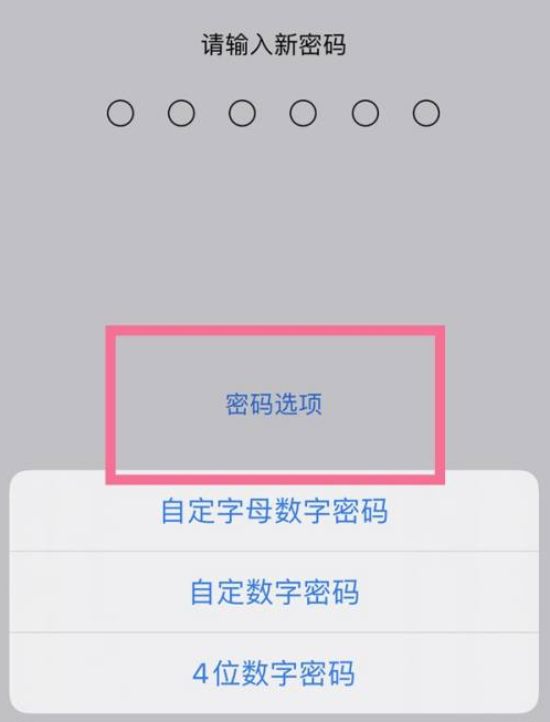 资兴苹果14维修分享iPhone 14plus设置密码的方法 