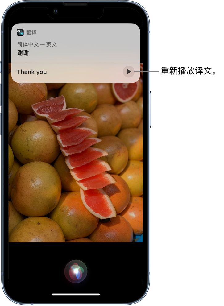 资兴苹果14维修分享 iPhone 14 机型中使用 Siri：了解 Siri 能帮你做什么 