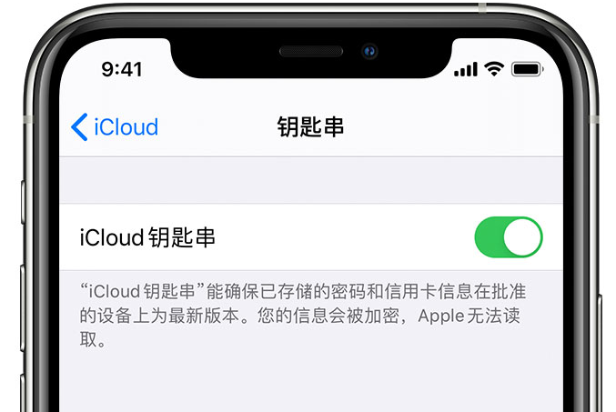 资兴苹果手机维修分享在 iPhone 上开启 iCloud 钥匙串之后会储存哪些信息 