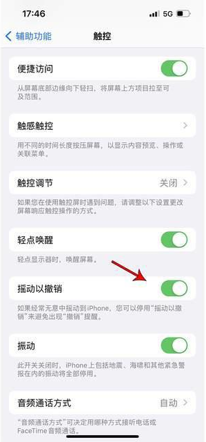 资兴苹果手机维修分享iPhone手机如何设置摇一摇删除文字 